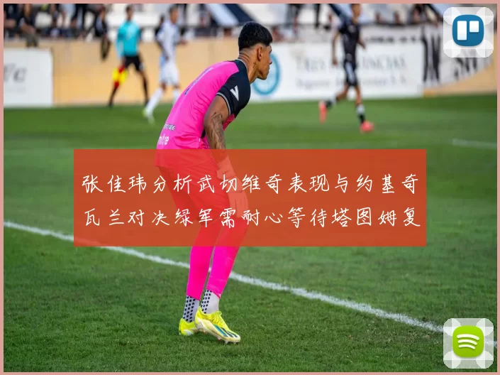 张佳玮分析武切维奇表现与约基奇瓦兰对决绿军需耐心等待塔图姆复出