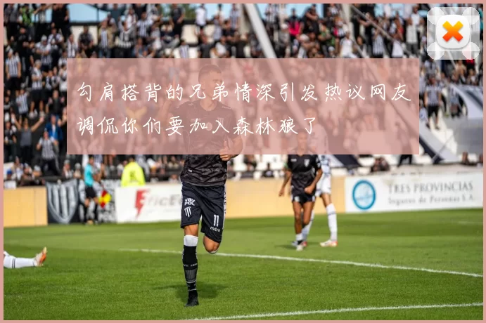 勾肩搭背的兄弟情深引发热议网友调侃你们要加入森林狼了